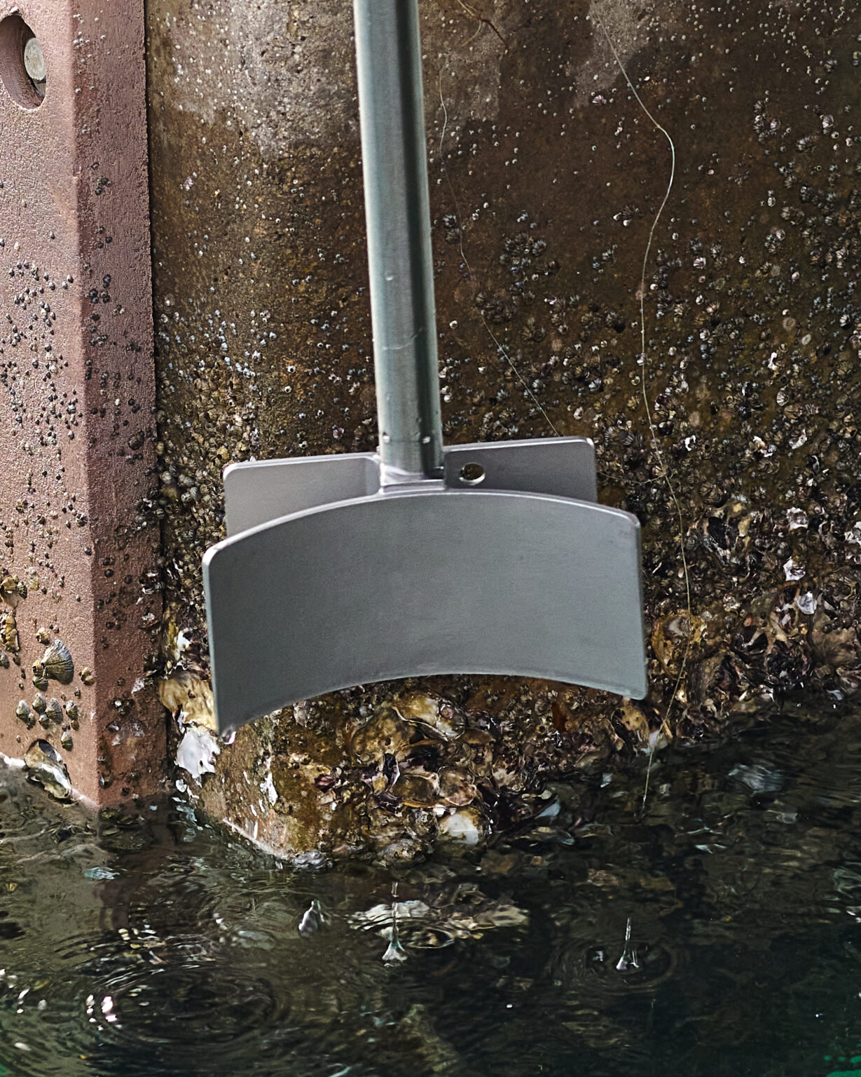 Barnapole – The Original Barnacle Scraper