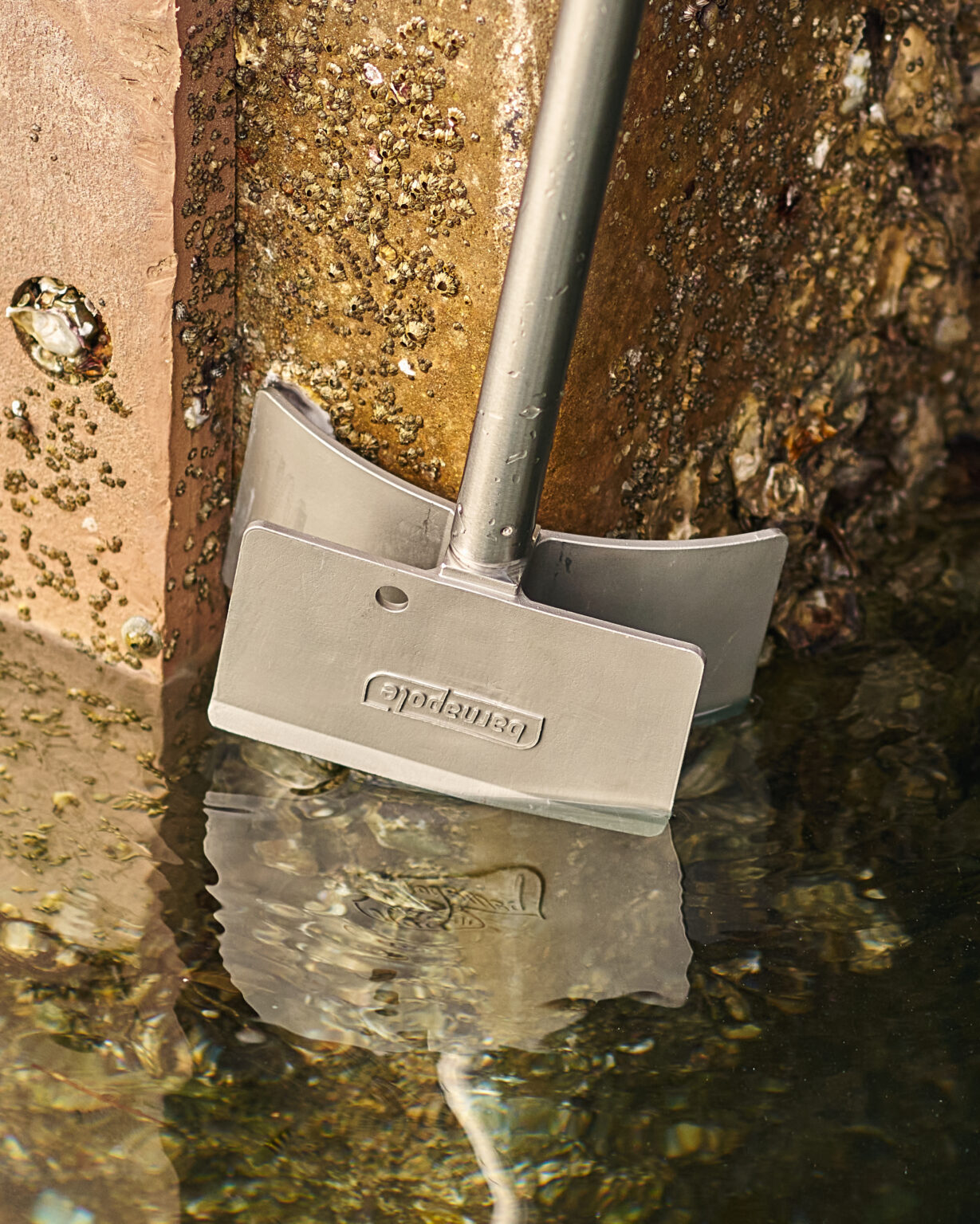 Barnapole – The Original Barnacle Scraper
